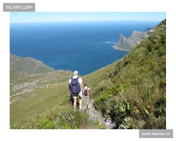 探索萨格勒布迪纳摩足球俱乐部的传奇魅力与激情背后的故事